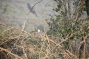 afrika2008_008.JPG