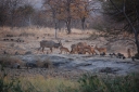 afrika2008_016.JPG
