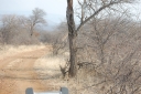 afrika2008_028.JPG