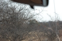 afrika2008_029.JPG