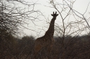 afrika2008_030.JPG