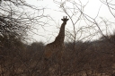 afrika2008_031.JPG
