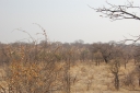 afrika2008_040.JPG
