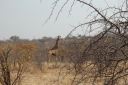 afrika2008_041.JPG