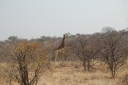 afrika2008_042.JPG