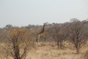 afrika2008_043.JPG