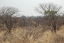 afrika2008_044.JPG