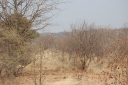 afrika2008_046.JPG