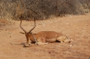 afrika2008_047.JPG