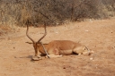 afrika2008_048.JPG