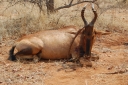 afrika2008_057.JPG
