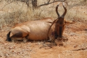 afrika2008_058.JPG