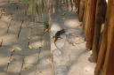 afrika2008_067.JPG