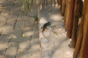 afrika2008_068.JPG