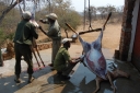 afrika2008_070.JPG