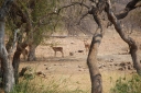 afrika2008_071.JPG