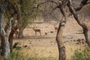 afrika2008_072.JPG
