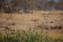 afrika2008_073.JPG