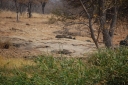 afrika2008_074.JPG