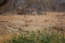 afrika2008_076.JPG