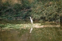 afrika2008_080.JPG