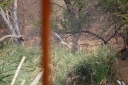 afrika2008_081.JPG