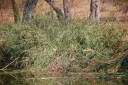 afrika2008_083.JPG
