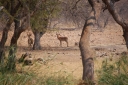 afrika2008_084.JPG