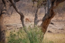 afrika2008_085.JPG