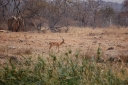 afrika2008_086.JPG