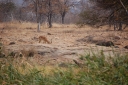 afrika2008_087.JPG