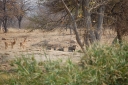 afrika2008_089.JPG