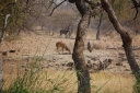 afrika2008_092.JPG