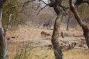 afrika2008_093.JPG