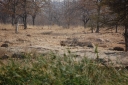 afrika2008_094.JPG