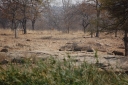 afrika2008_095.JPG
