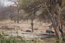afrika2008_096.JPG