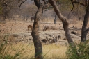 afrika2008_097.JPG