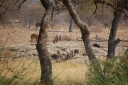 afrika2008_098.JPG