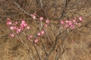 afrika2008_106.JPG