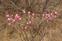 afrika2008_107.JPG
