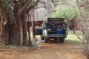 afrika2008_108.JPG