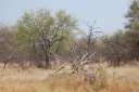 afrika2008_109.JPG
