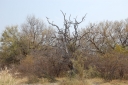 afrika2008_111.JPG