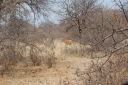 afrika2008_112.JPG