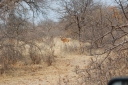 afrika2008_113.JPG