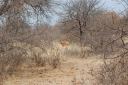 afrika2008_114.JPG