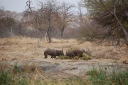 afrika2008_116.JPG