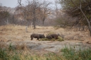 afrika2008_117.JPG