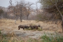 afrika2008_118.JPG